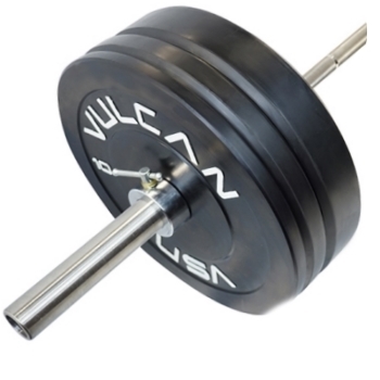 Bumper plates and bar set